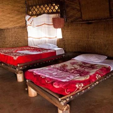 Garden bungalow at Dorze Lodge surrounded by greenery